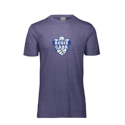 [3065-6310-RYL-AS-LOGO2] Men's Ultra-blend T-Shirt (Adult S, Royal, Logo 2)