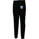 Men's PERFORMANCE FLEECE JOGGER